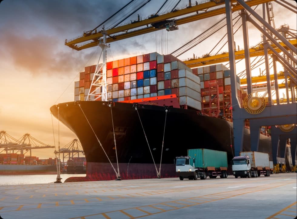 Supply Chain